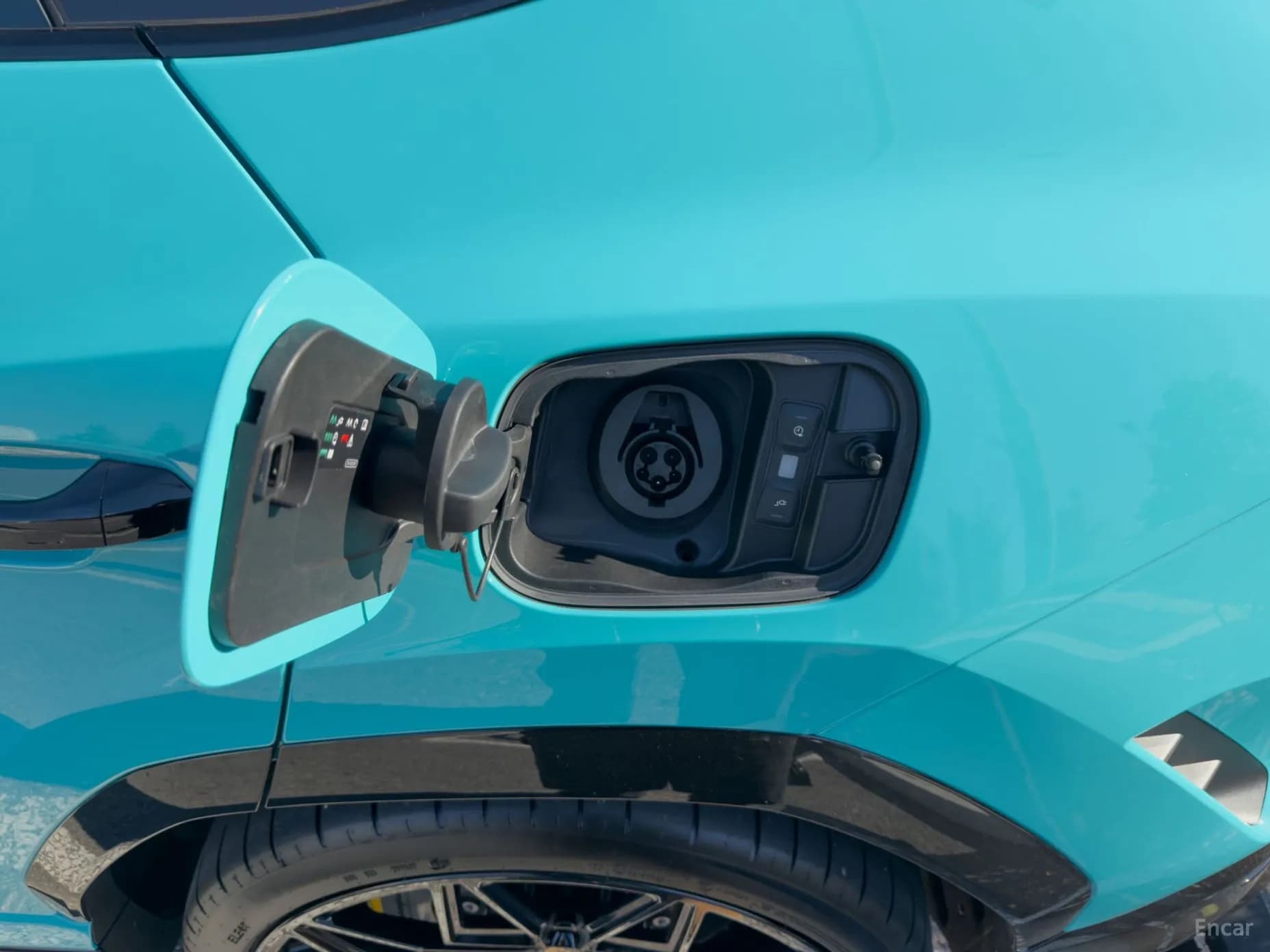 Urus