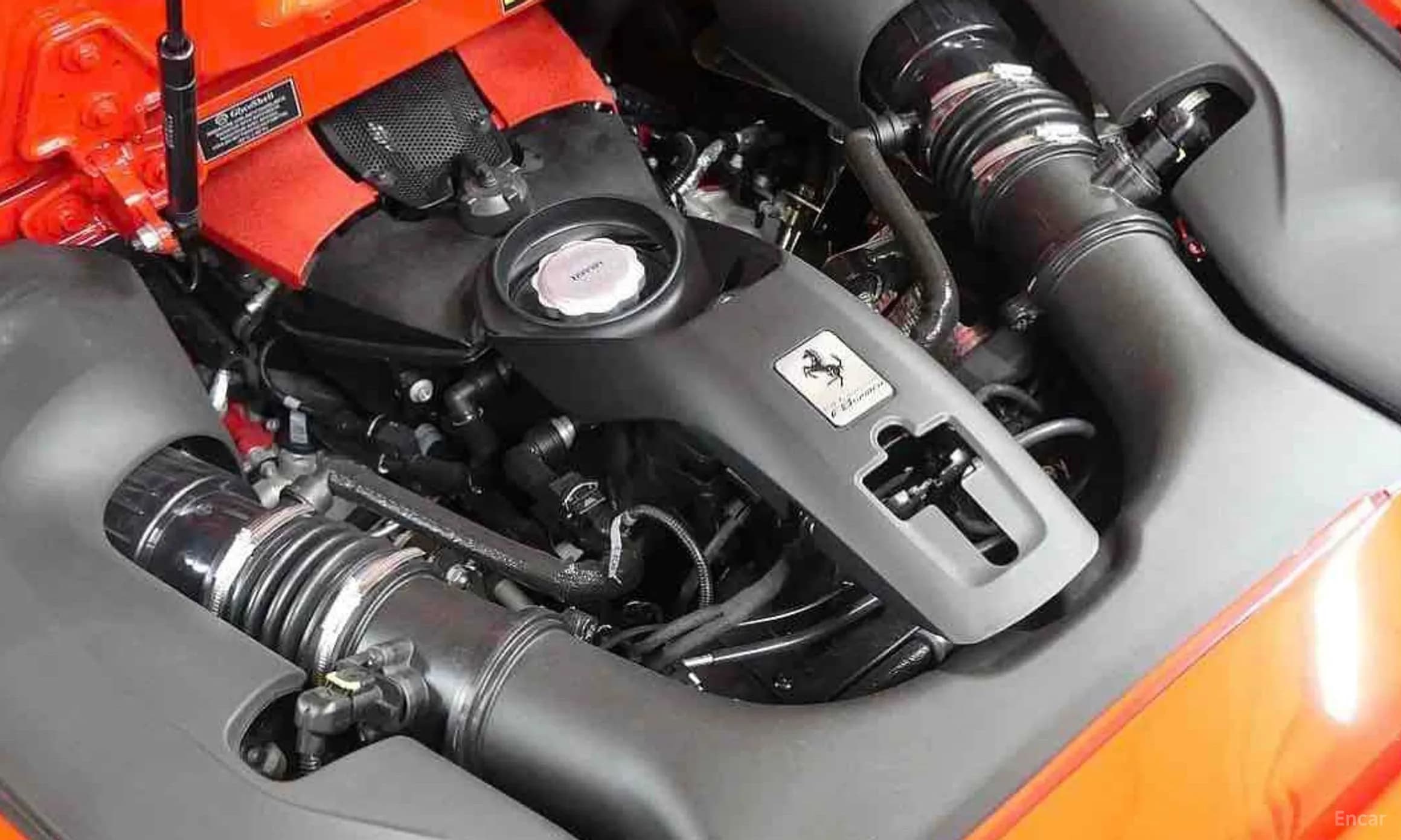 F8 Spider