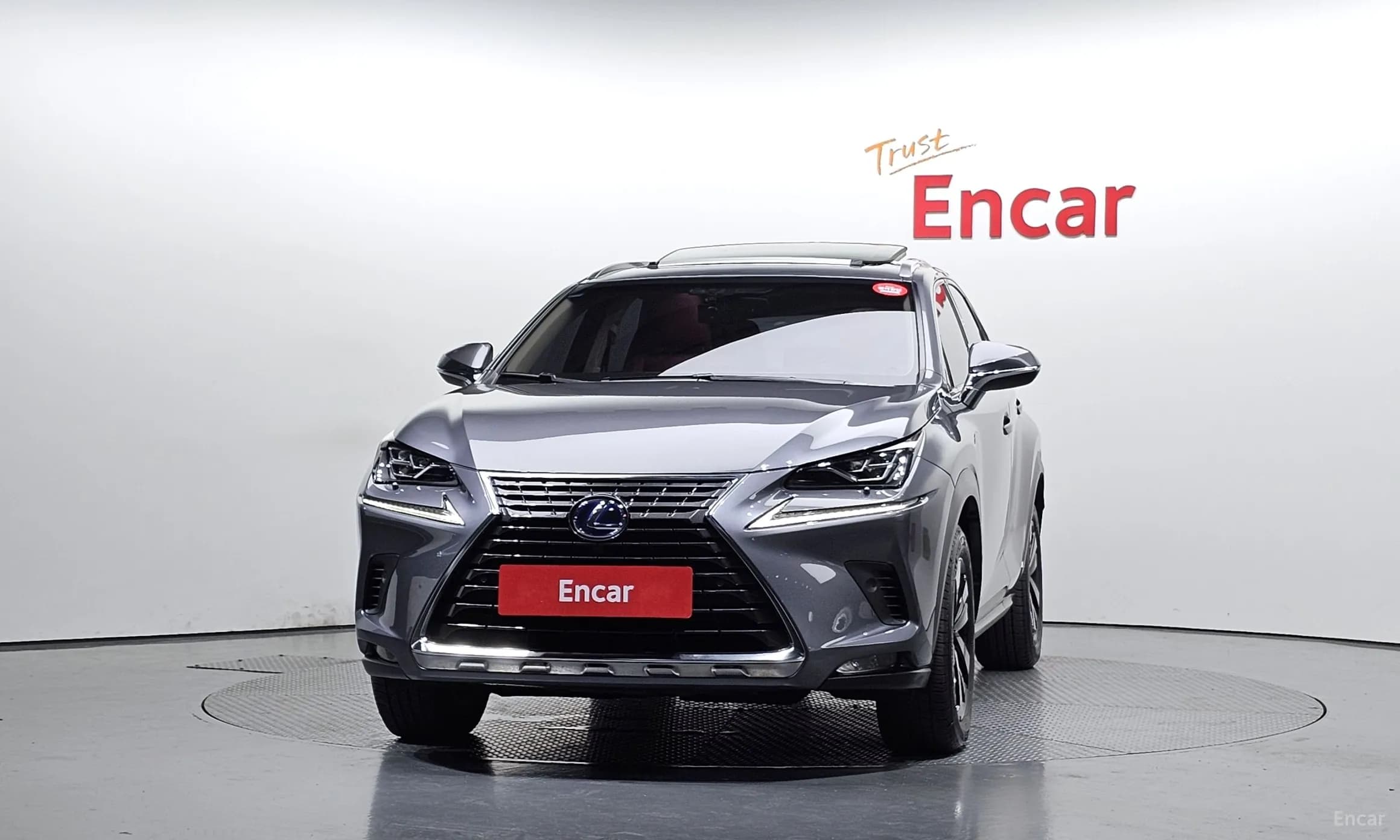 NX300h