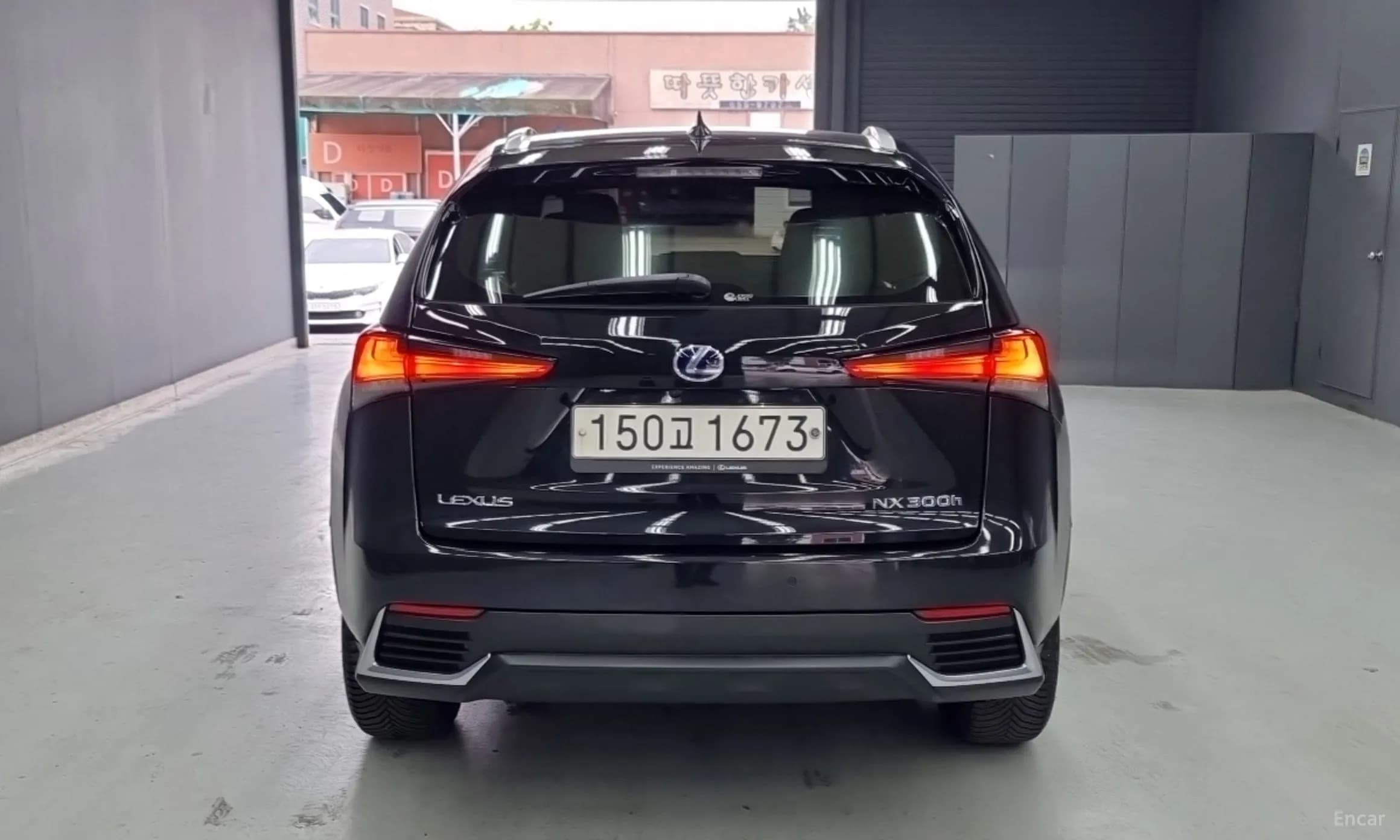 NX300h