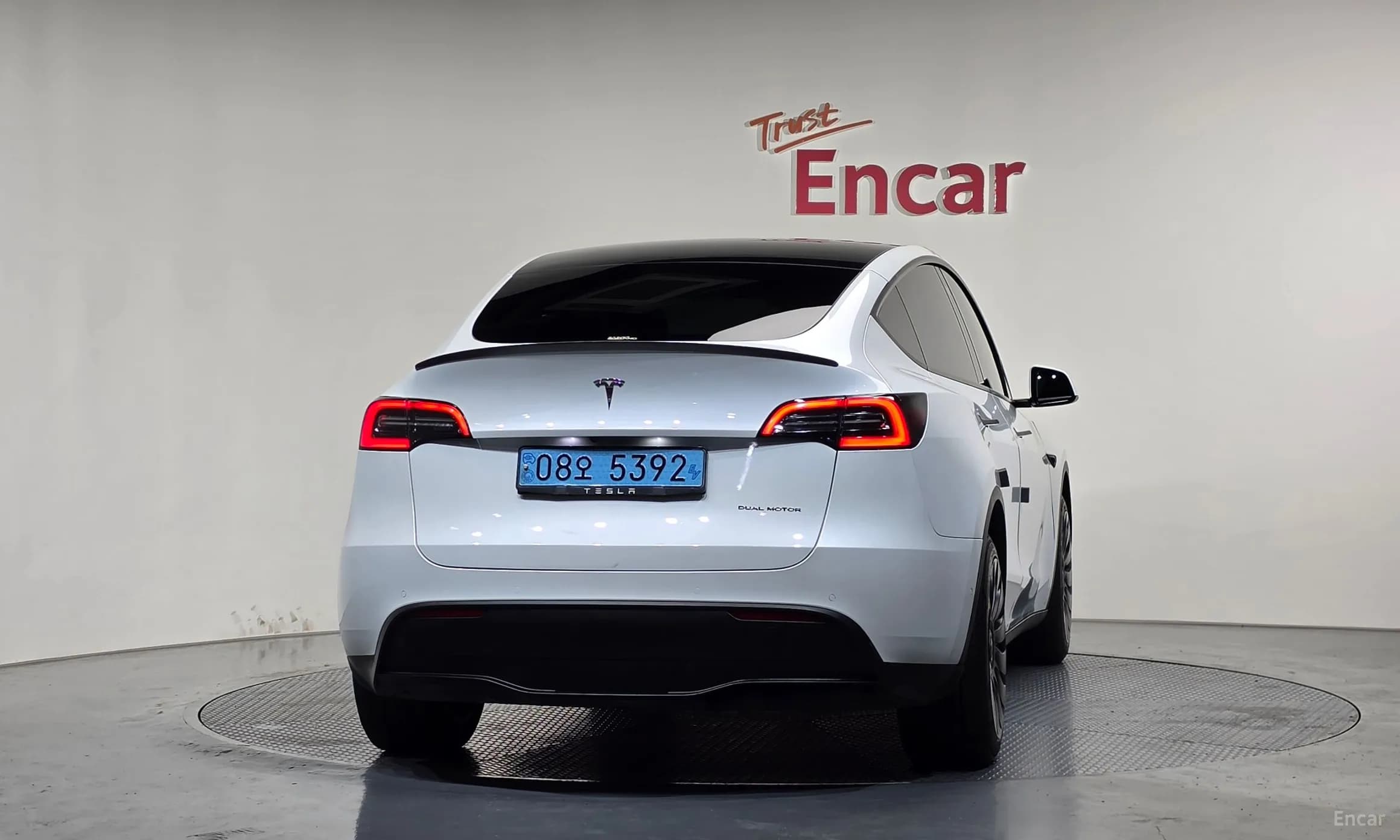 Model Y