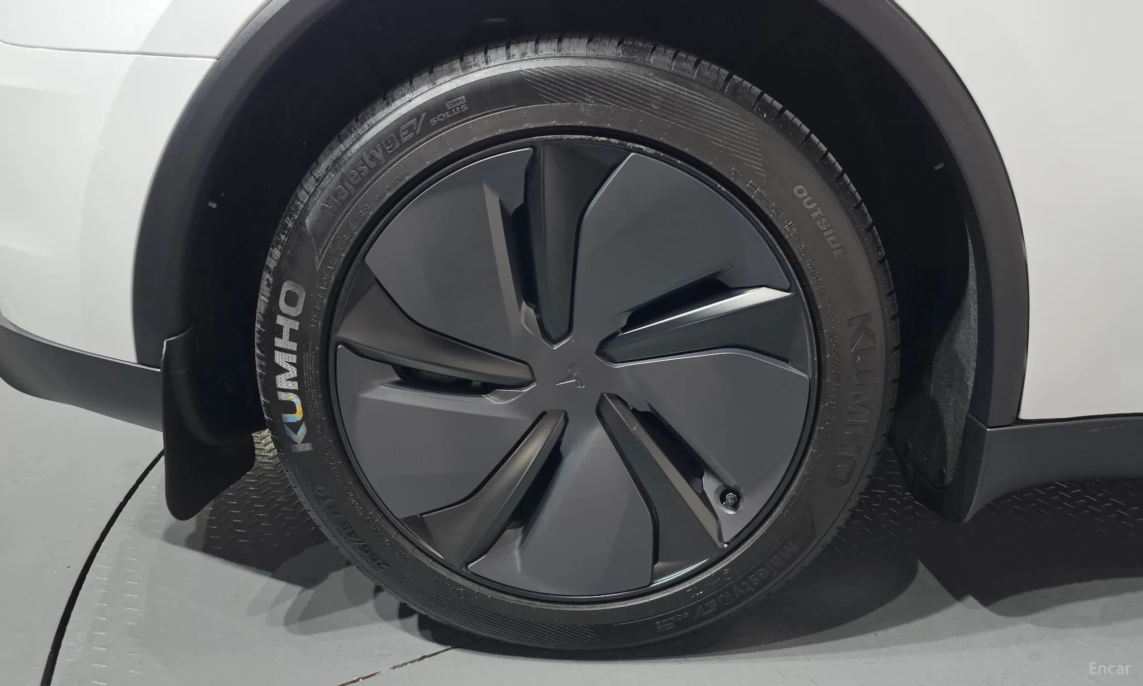 Model Y