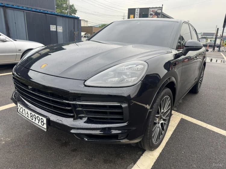 Cayenne (PO536)