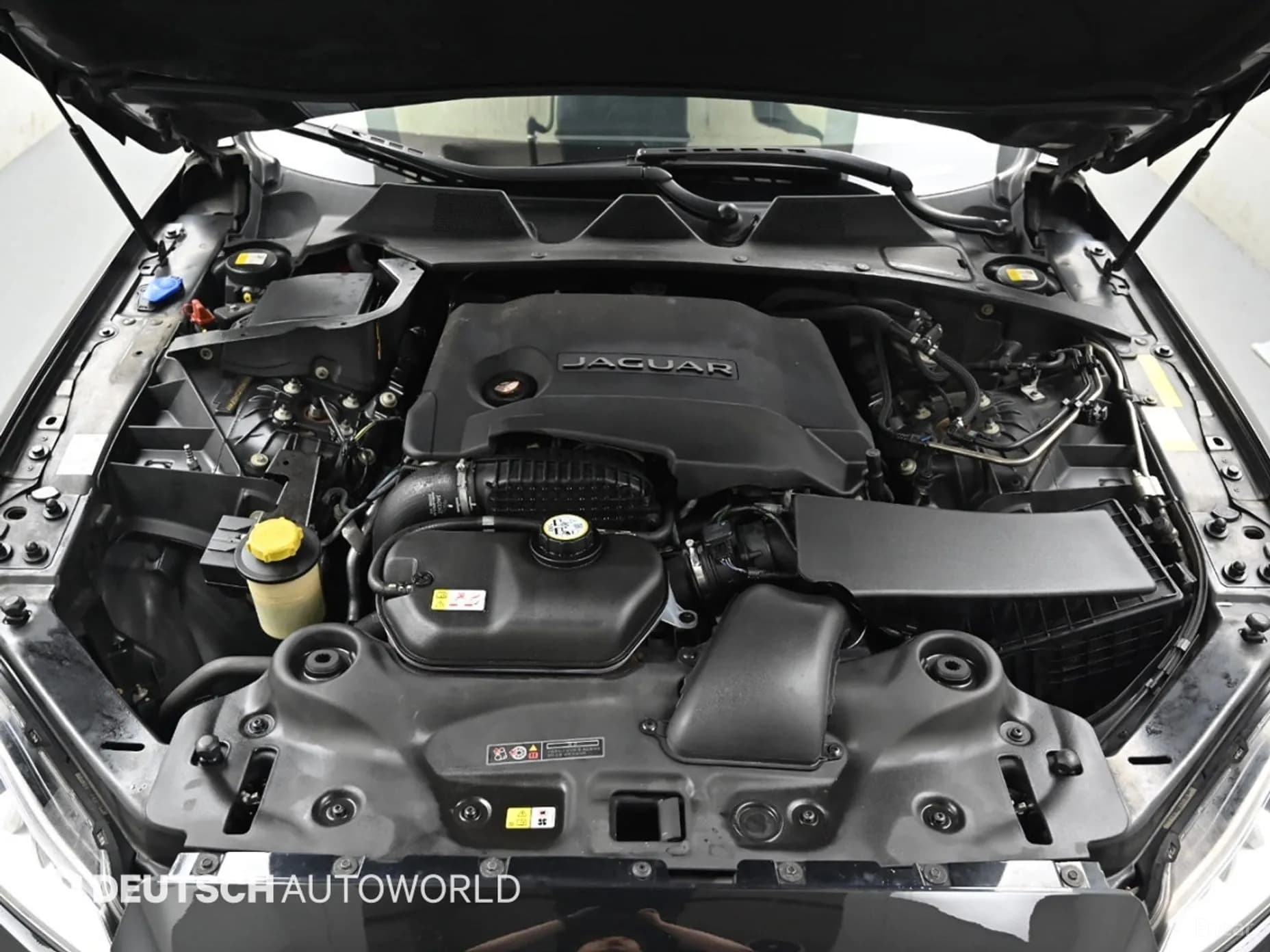 All New XJ