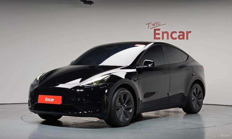 Model Y