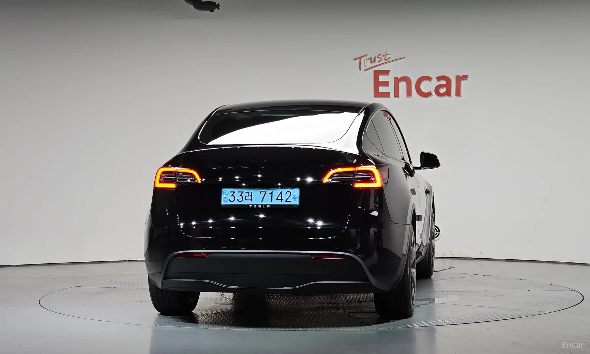 Model Y