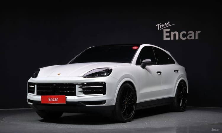 Cayenne (PO536)