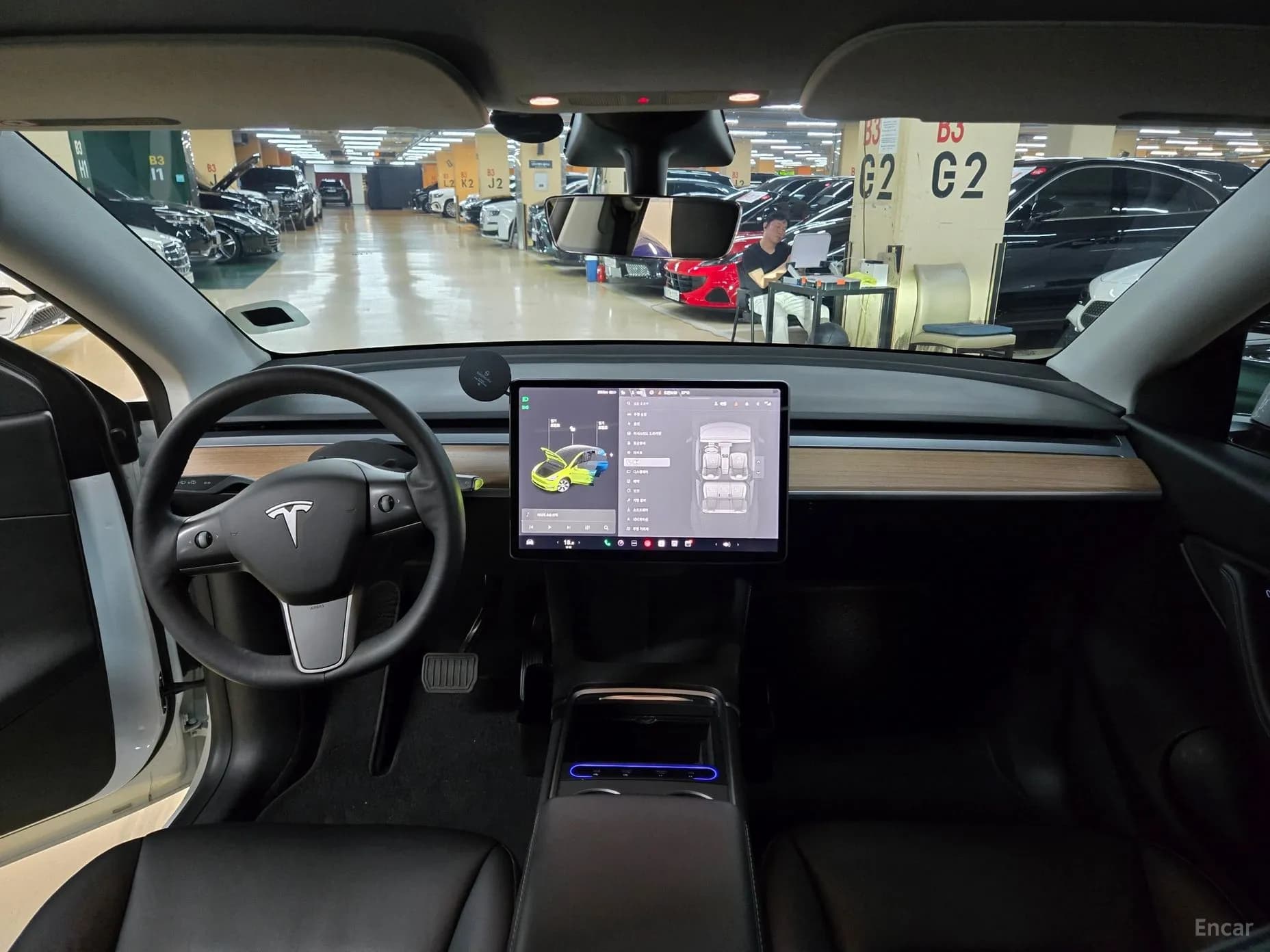 Model Y