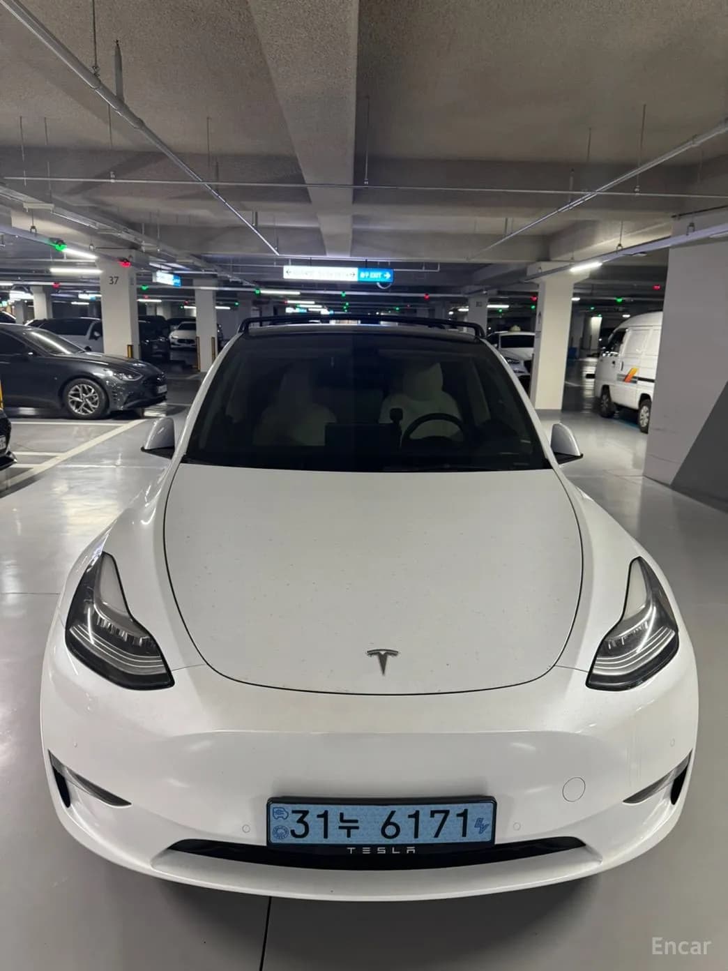 Model Y