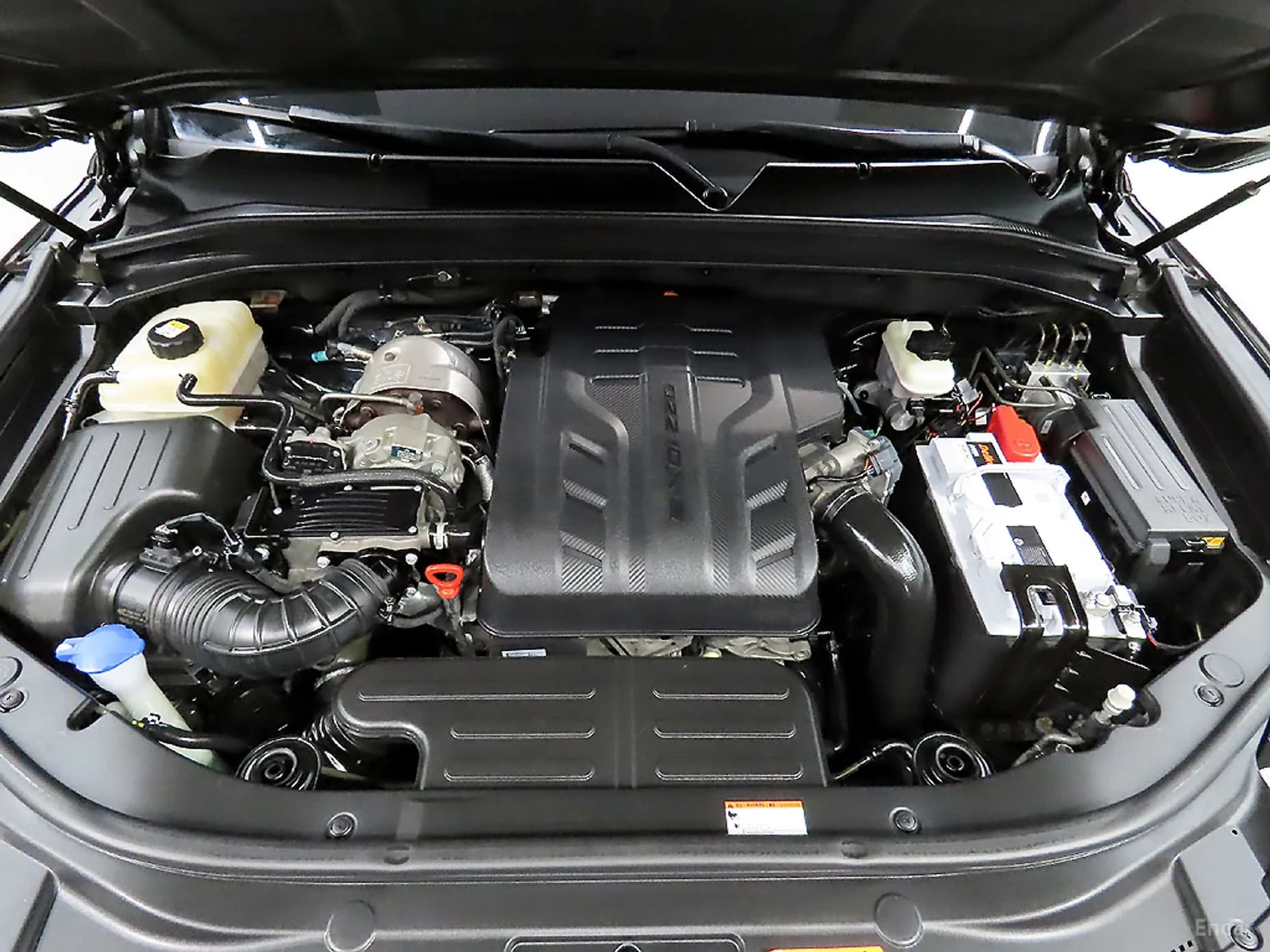 Rexton Sports