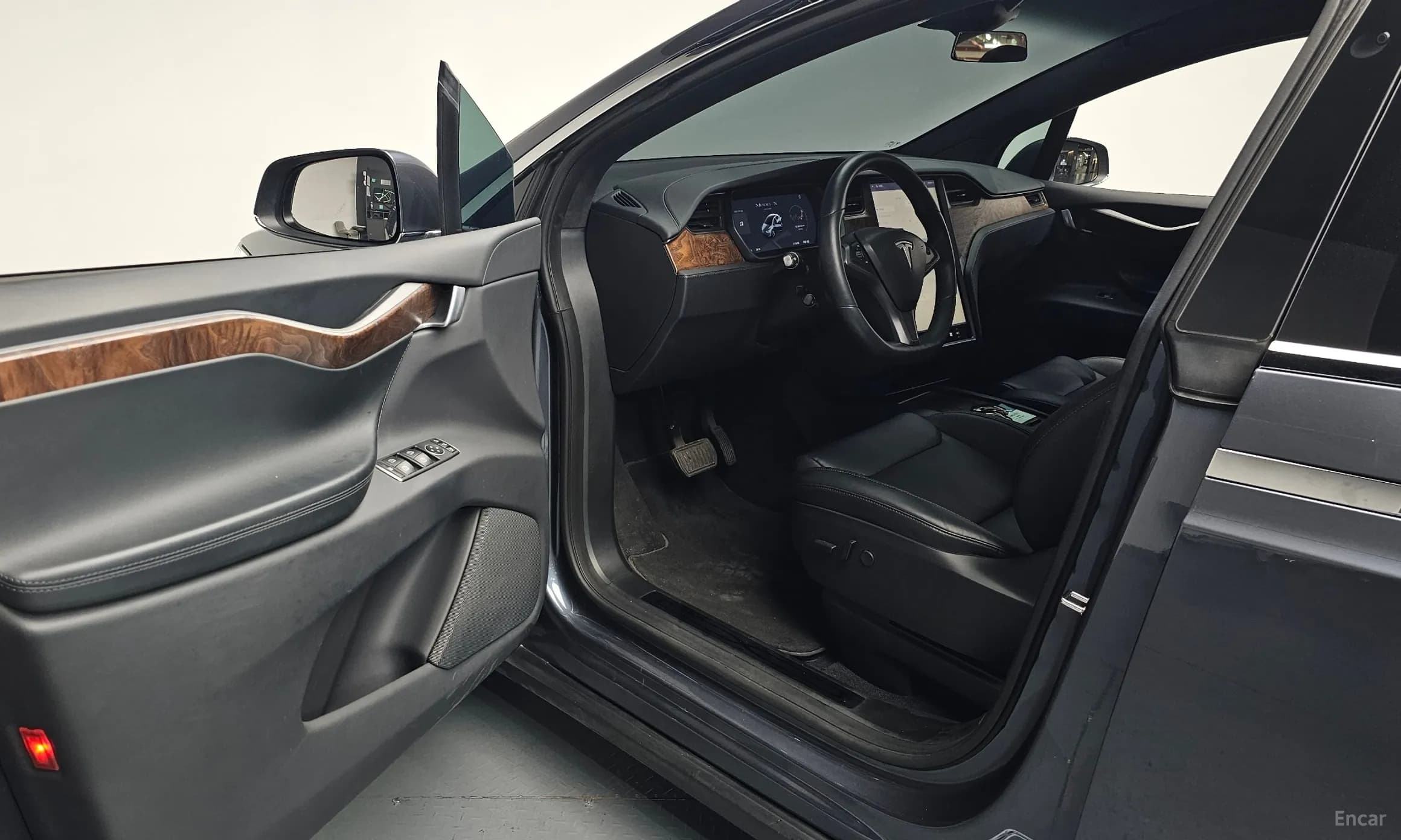 Model X