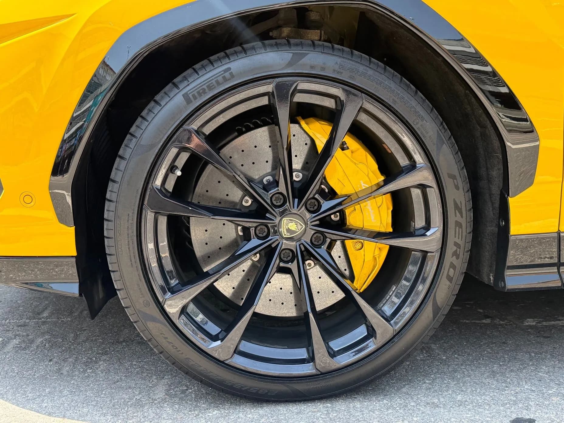 Urus