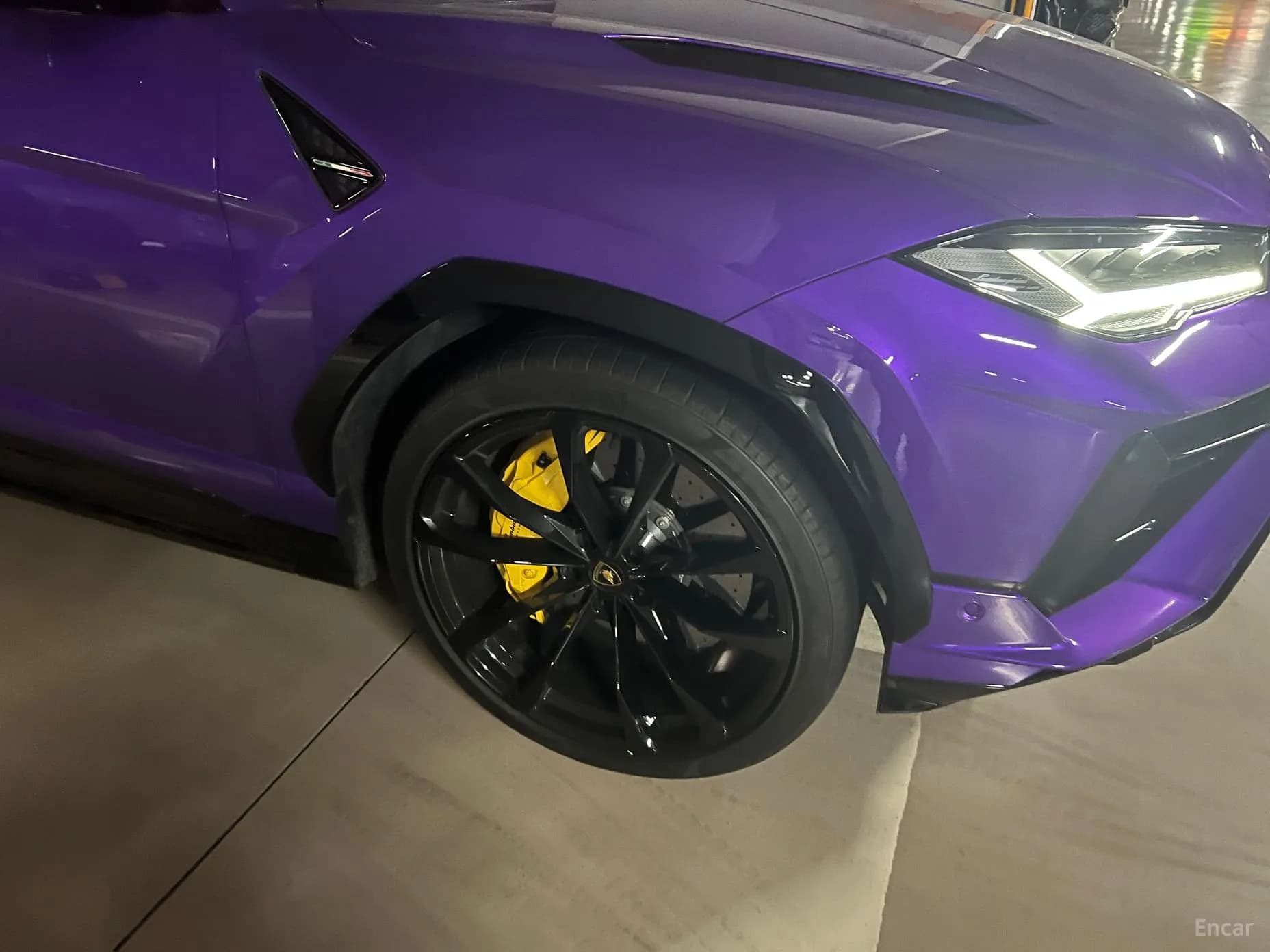 Urus