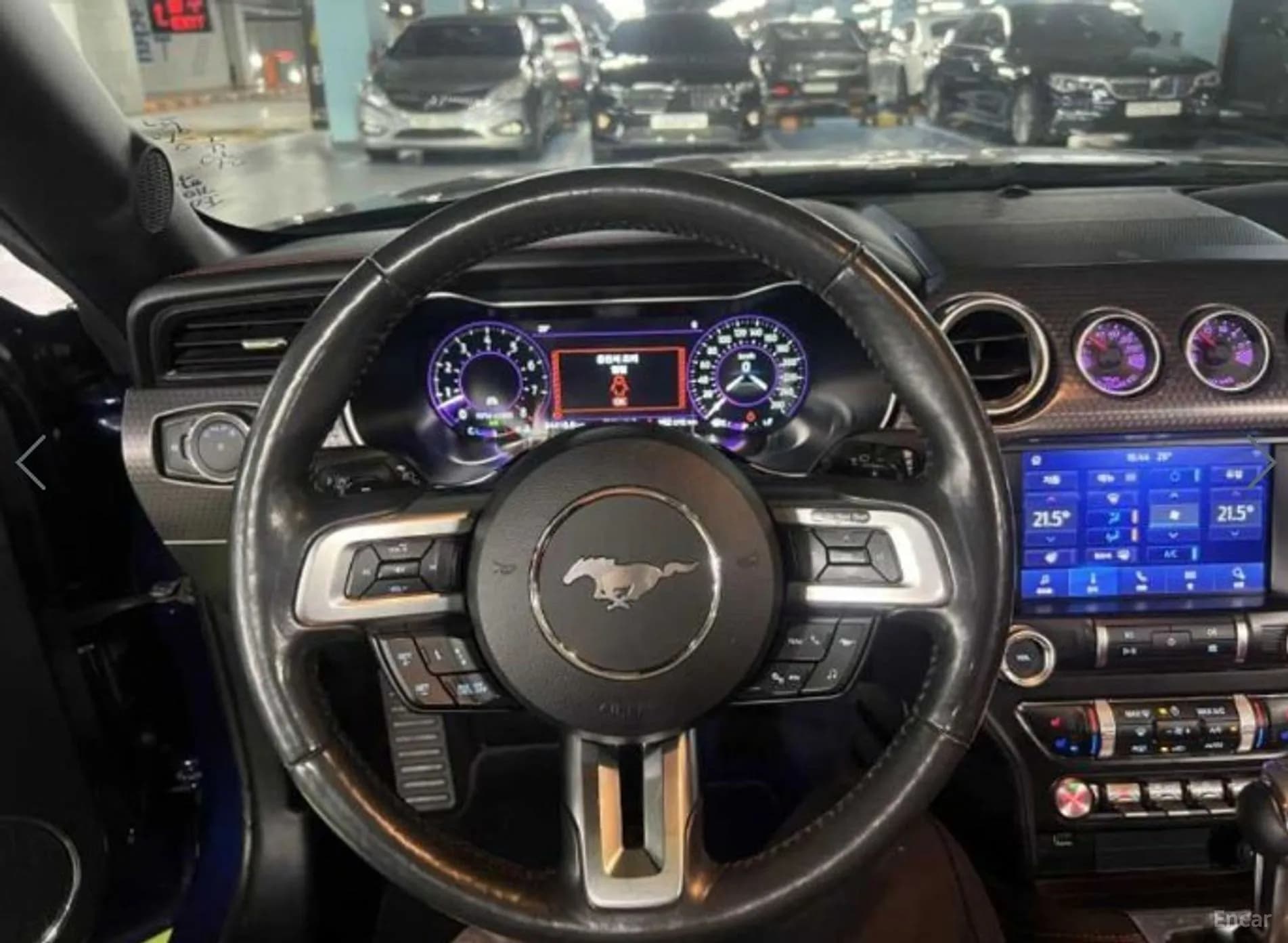 Mustang