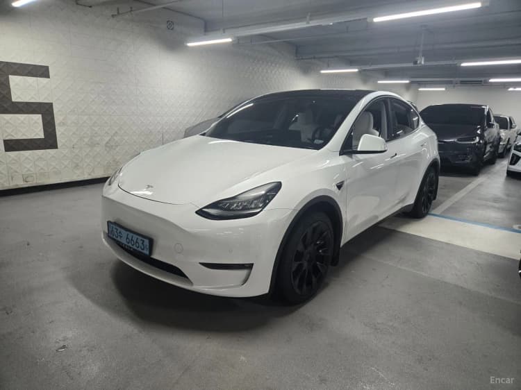 Model Y