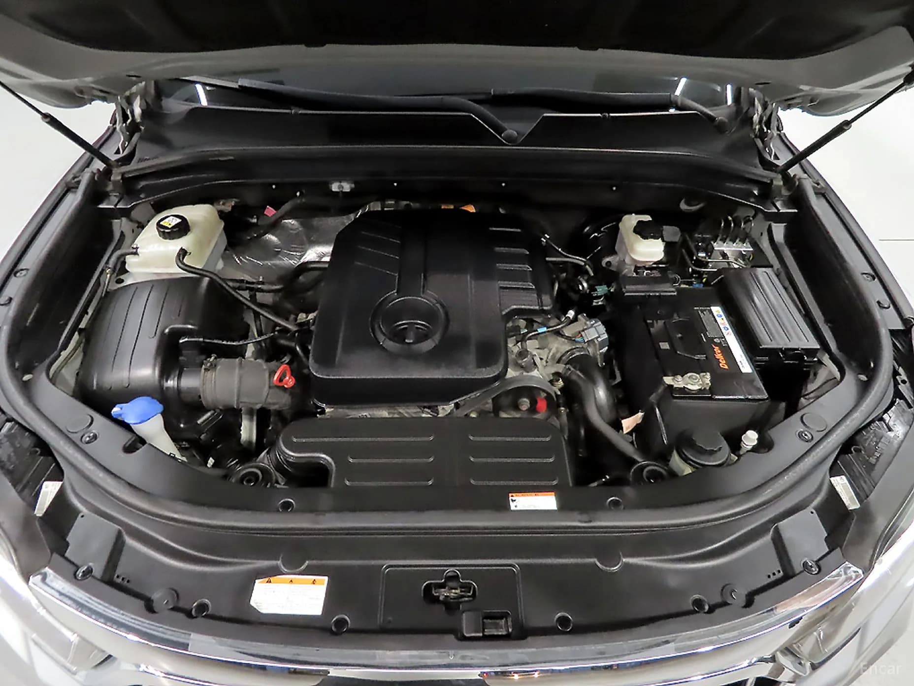 Rexton Sports